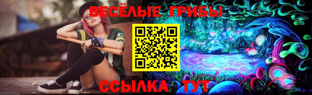 Галлюциногенные грибы Magic Shrooms Ступино